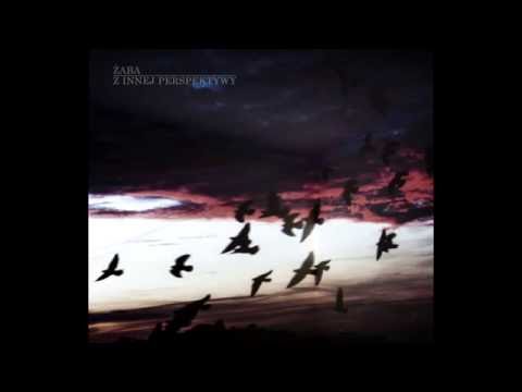 Żaba - Chwila spokoju