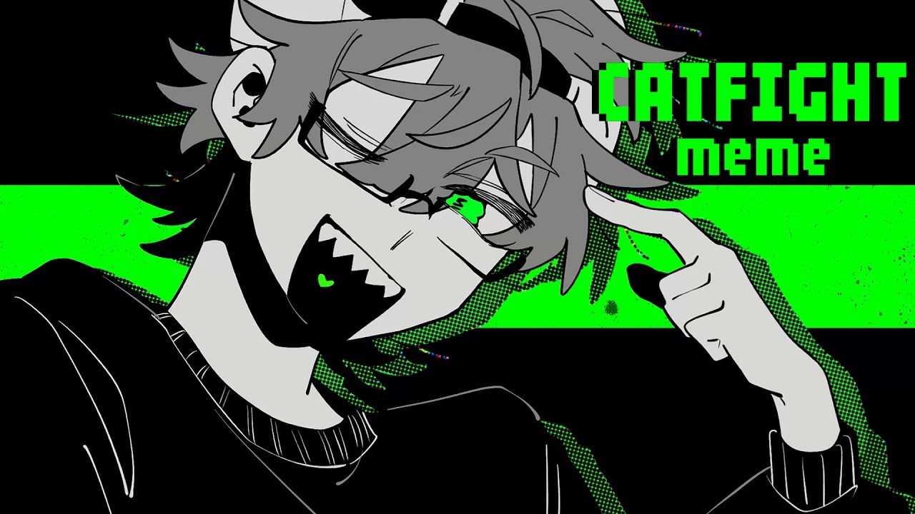 【阝艮界】C:A:T:F:I:G:H:T【手描きmeme】