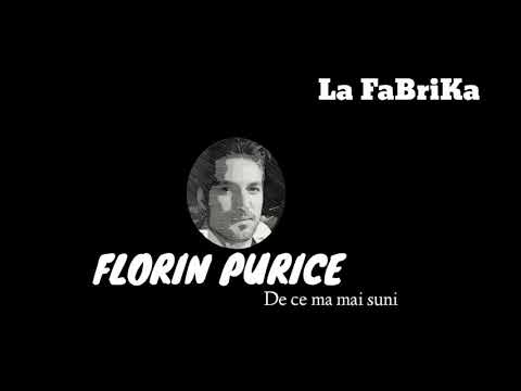 FLORIN PURICE-DE CE MA MAI SUNI