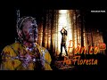 ESTE FILME PANICO NA FLORESTA 3 LANÇAMENTO 2009 E INCRIVEL ANALISE DO FILME