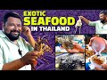 இதெல்லாம் எப்டி சாப்பிடுறாங்க THAILAND Fish Ma