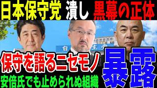日本保守党叩きの正体とは？【再アップ】
