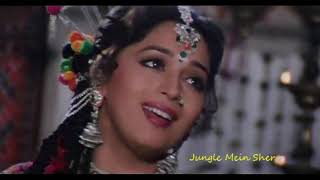 Jungle Me Sher Song  Prem Granth  Madhuri Dixit  R
