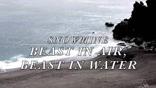 Snowmine - Beast in Air, Beast in Water [LYRICS]