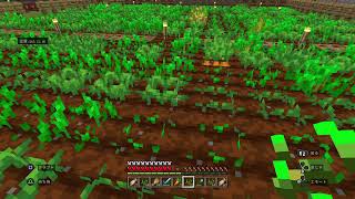 マイクラ初心者