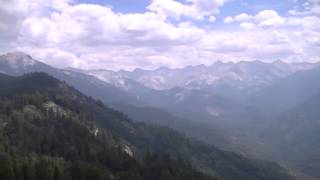 Sequoia (original song)