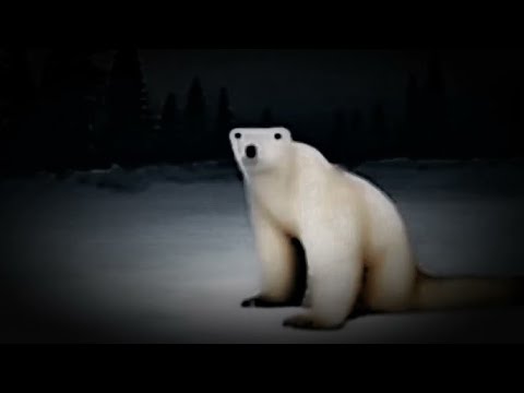 Creepy polar bear 2026 song