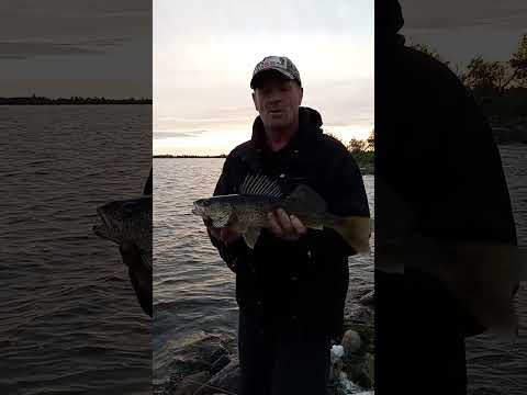 Epic 5 Hours Of Fishing.(PBs Broken)