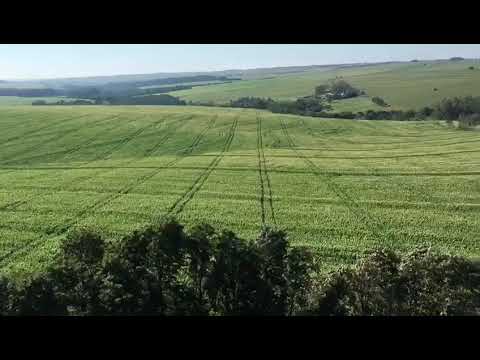 Fazenda Florai (visão do alto do cilo)