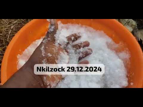 L'eau en poudre ou solide: solution pour tenir la rudesse la la sécheresse et réduire l'irrigation.