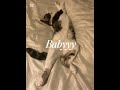 Lola just wants to dance 💃 🐱 #viral #cat #dance #needoh #meow #funniestvideo #funnymomentss