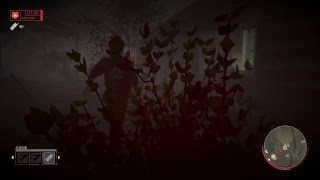 13日の金曜日、aneaneカウンセラー、命拾い、ゲーム実況