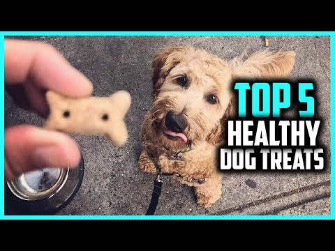 ✅ Top 5 Best Healthy Dog Treats