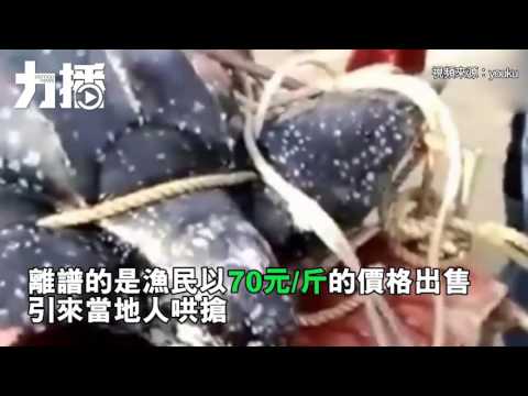 血腥劏賣兩小時售罄 血腥劏賣兩小時售罄