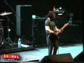 Pearl Jam - In My Tree (London 1996-10-28) Master