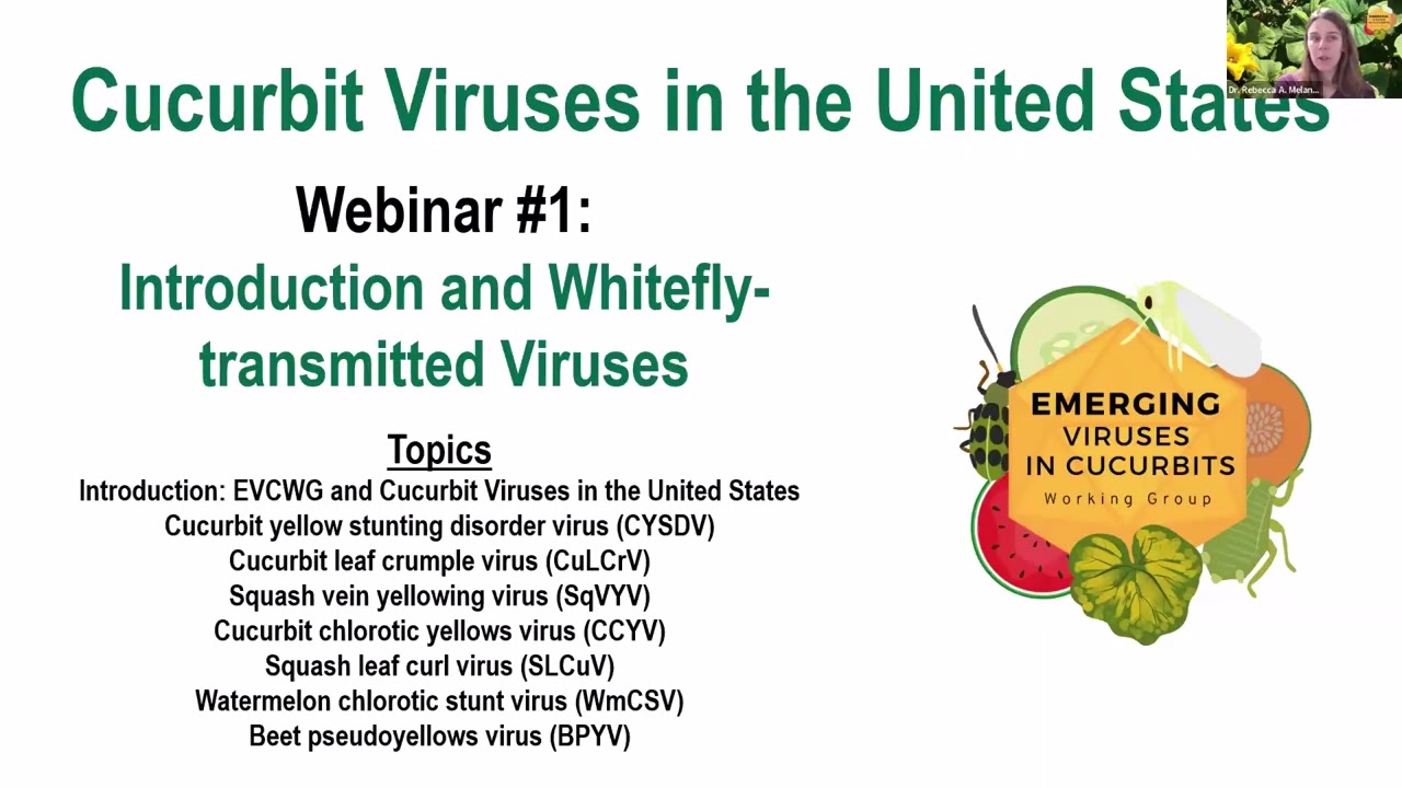 Introduction to Cucurbit Viruses in the United States Webinar Series (2026)