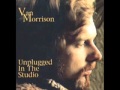 Van Morrison - The Way Young Lovers Do (acoustic guitar)