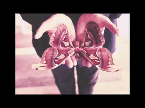 Renounced - As Delicate As Moth Wings (Official Music Video)