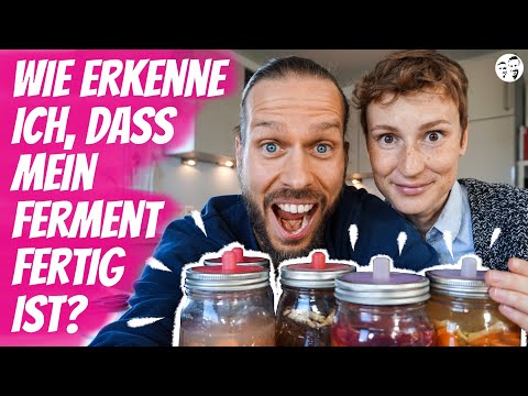 Wie erkenne ich, dass mein Gemüse fertig ist? Die verschiedenen Fermentations-Stadien mit Bildern