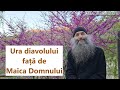 Ura Diavolului Față De Maica Domnului P Pimen Vlad