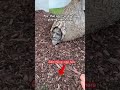 😂😂