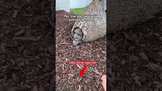 Download lagu 😂😂 mp3 Download lagu 😂😂 mp3