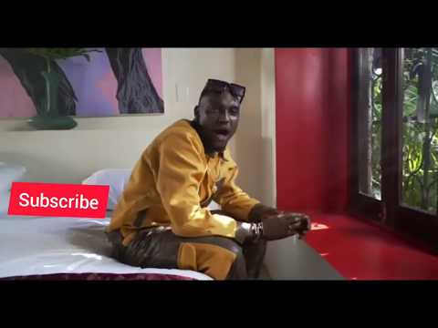 Darasa feat Sho madjozi - I LIKE IT(Official music video)