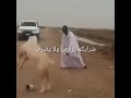 Mort De Rire Animaux Crazy
