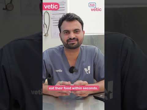 Your dog isn’t eating or drinking water? Here’s what to do! Watch now for quick tips.