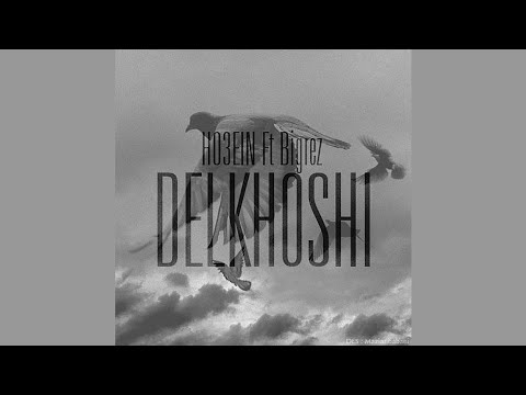 Ho3ein ft BigRez - Delkhoshi