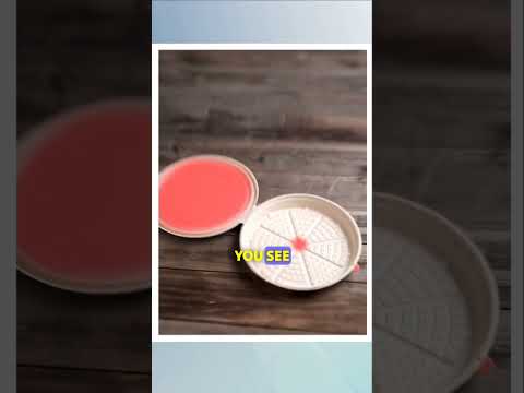 The Hidden Truth | Why Pizza Boxes Aren't Round