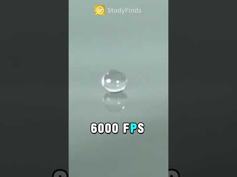 Water Droplet in Slow Motion #shorts