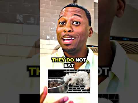 The Benefits Of FASTING When You Are SICK