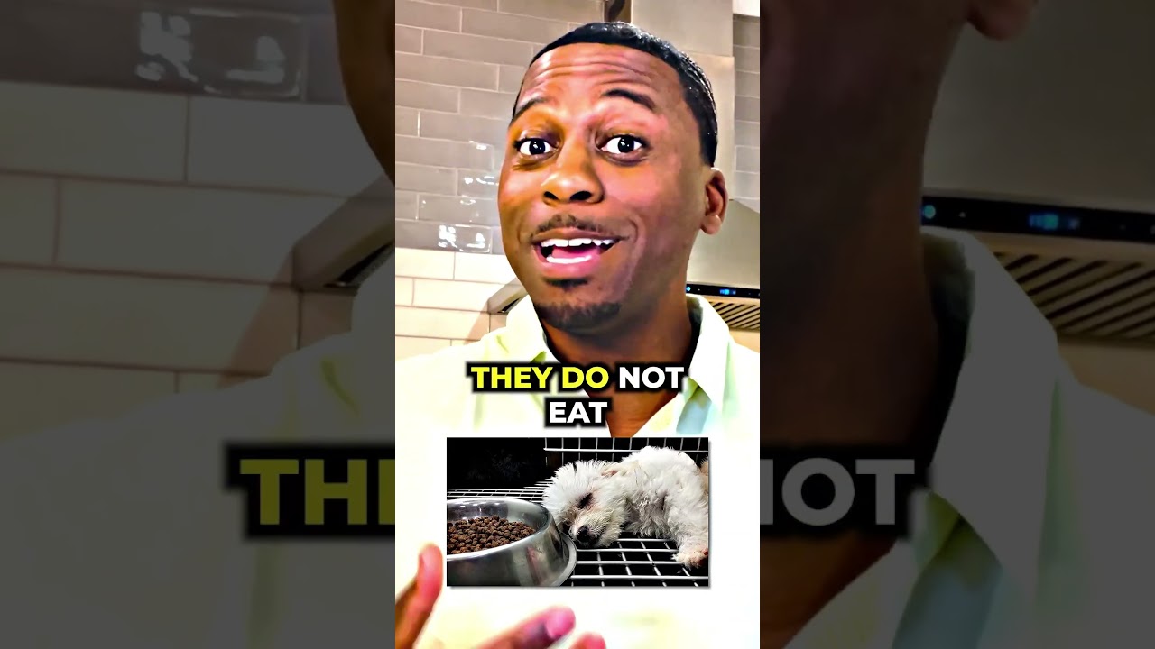 The Benefits Of FASTING When You Are SICK