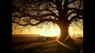 Lonesome Sundown - They Call Me Lonesome Sundown