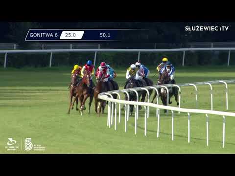 25.07.2021 (D25; G6; Tor: 3,2; 29°C)