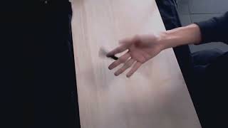 PenspinningOlympics 2022 Round1 KoVi 〔Aestheticism〕