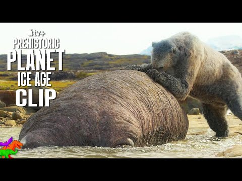 Stellar's Sea Cow vs Short-Faced Bear | Prehistoric Planet: Ice Age | OFFICIAL CLIP