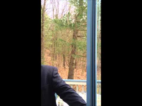 45 Shawsheen Road, Bedford, MA Townhome for Sale by DNA Realty Group 01730