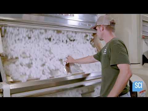 QUY TRÌNH SẢN XUẤT SỢI BÔNG