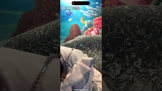 【コンカフェ嬢6】