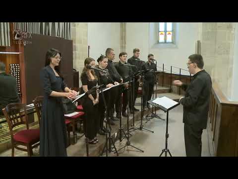 Ľuboš Gabčo - Alleluia Rabbi, tu es Filius Dei (Zbor Vox cantoris)