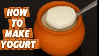 Homemade Yogurt Recipe | Thick & Creamy Curd Without Yogurt Maker | Easy Dahi Recipe at Home!