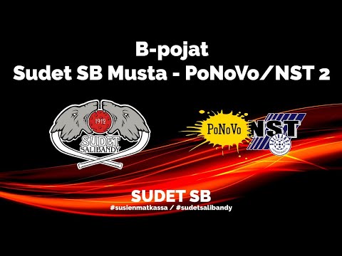 Sudet SB Musta - PoNoVo/NST 2, B-pojat 19.1.2020