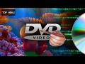 THIS IS DVD Ambient Jungle DnB Mix