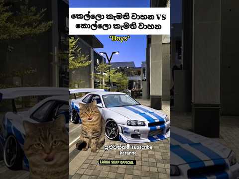කෙල්ලොන්ගෙ වාහන VS කොල්ලොන්ගෙ වාහන #catmemes #vehicles #funnyshorts