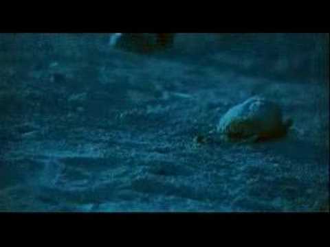 Video thumbnail for Take Me Alive