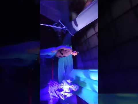 CUMPLE AÑOS (PAULINA SULLCA) DIEGO DE ROJAS CORDOBA 🇦🇷2024🇧🇴