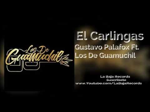Los De Guamuchil Ft. Gustavo Palafox - El Carlingas (En Vivo 2017)