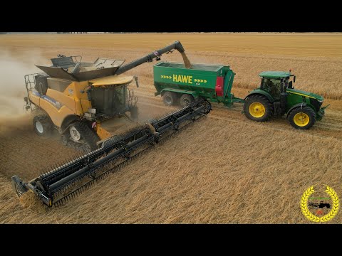 New Holland CR 9.90 mit 12 Meter MacDon | John Deere mit Hawe Überladewagen | Getreideernte